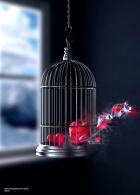 Korkmuyorum Seni Sevmekten